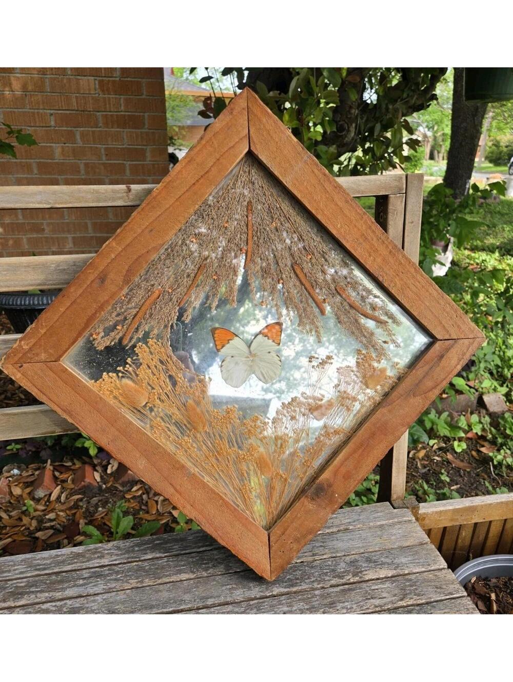 Vintage Taxidermy Mirror 15x15 Real Butterfly Great Orange Tip Dried Flowers